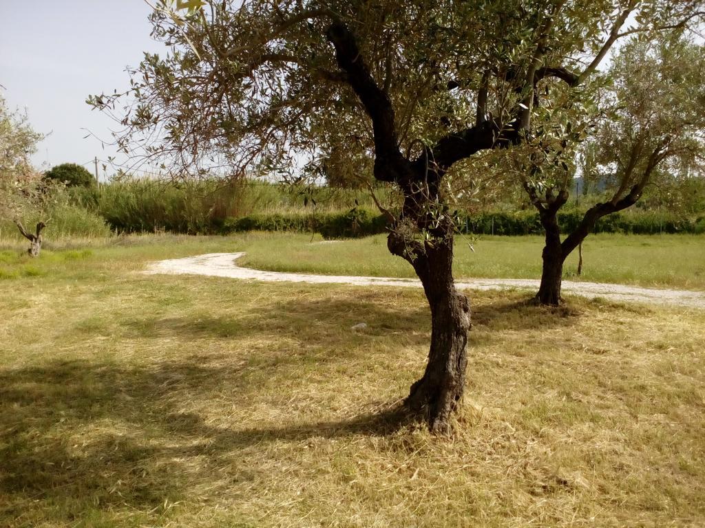 Pappou'S Studios Ormos Panagias Dış mekan fotoğraf